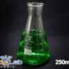 250 mL Erlenmeyer Flask