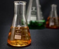 50mL Glass Erlenmeyer Flask