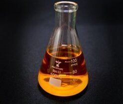 100 mL Glass Erlenmeyer Flask